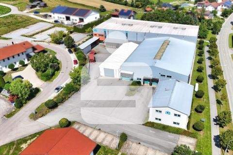 Johanniskirchen Halle, Johanniskirchen Hallenfläche