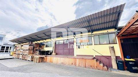 Niestetal Halle, Niestetal Hallenfläche