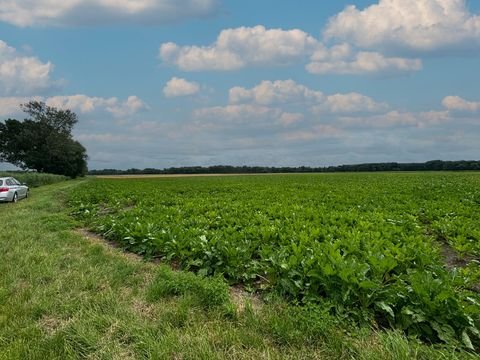 Otzing / Lailling Bauernhöfe, Landwirtschaft, Otzing / Lailling Forstwirtschaft