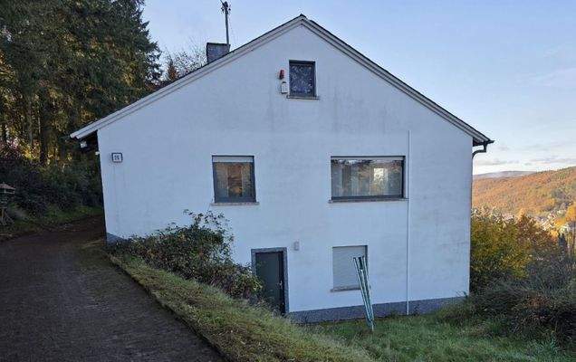 Seitenansicht mit Zufahrt