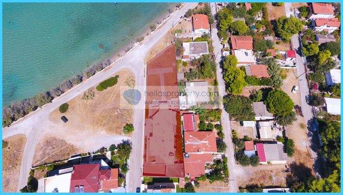 6368a470f1bf4e6a9be31de5f2a1213e-original