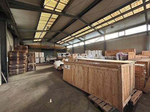 Hamburg Halle, Hamburg Hallenfläche