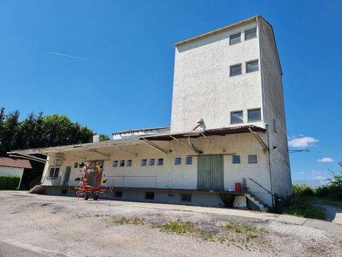 Neumarkt-St. Veit Halle, Neumarkt-St. Veit Hallenfläche