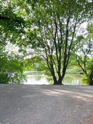 Naturnahe Umgebung mit Teich Blick
