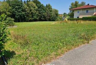 Grundstück Kopfing (1)