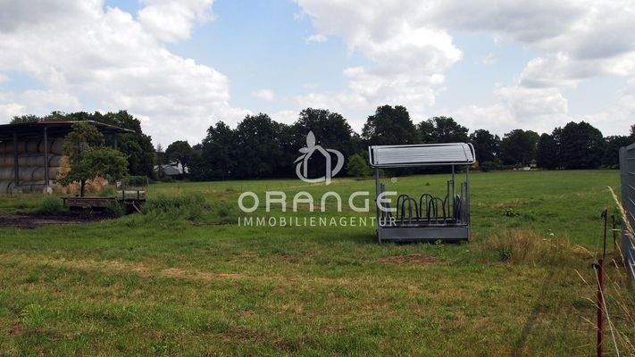 Weideland (bis zur hinteren Baumreihe)