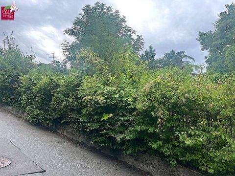 Weidling Grundstücke, Weidling Grundstück kaufen