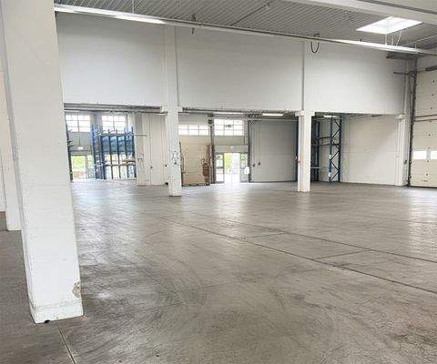 Würselen Halle, Würselen Hallenfläche