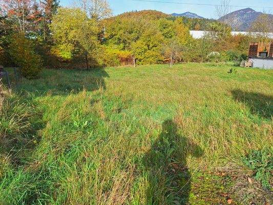 Mit Baumbestand am Grundstück