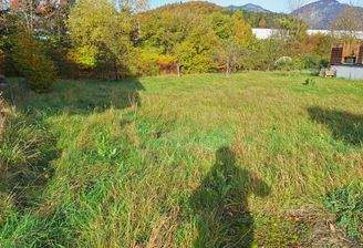 Mit Baumbestand am Grundstück