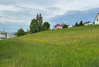 Grundstück Ansicht 1