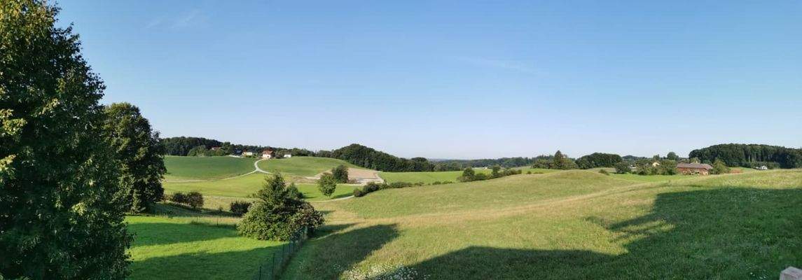 WhatsApp Image 2025-09-17 at 10.24.16.jpeg