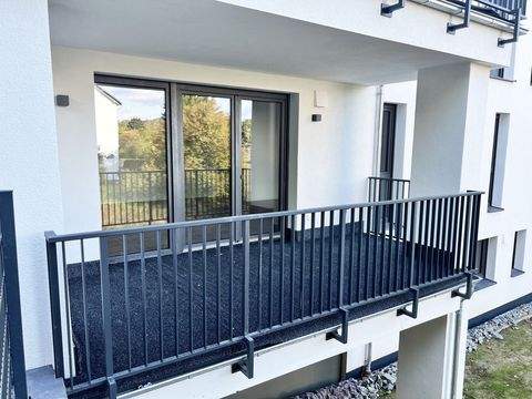 Betzdorf Wohnungen, Betzdorf Wohnung mieten