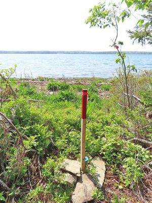 Cape Breton - Einzigartige Atlantik-Lage - 31 Hekt