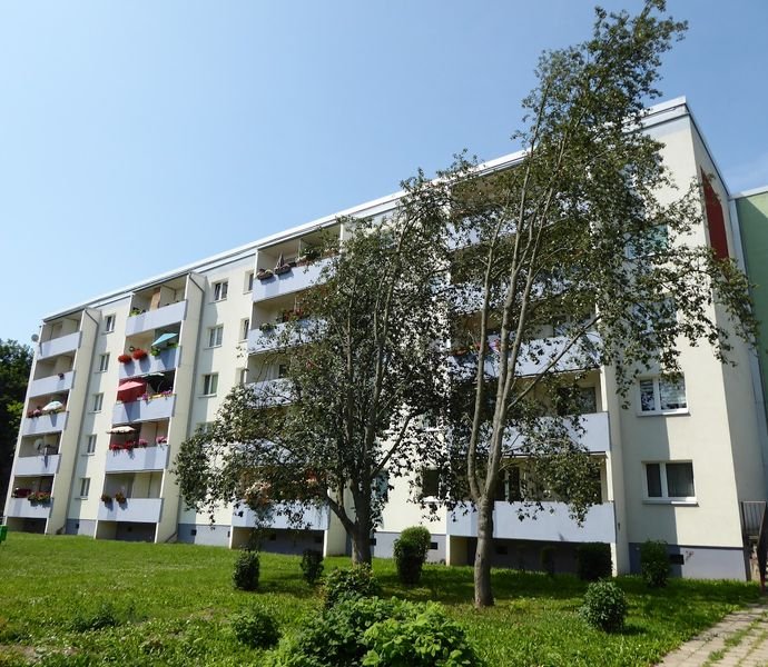 3 Zimmer Wohnung in Halle (Nördliche Neustadt)