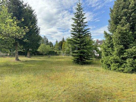 Außenansicht - Garten