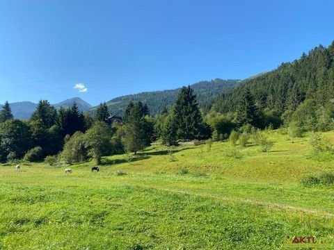 Donnersbachwald Grundstücke, Donnersbachwald Grundstück kaufen