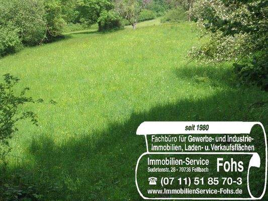 Unterböhr.Flur 1500-1=4.578 m² Foto 6 