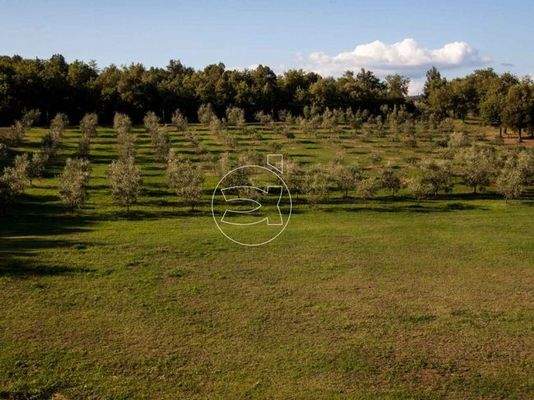 Herrliches Anwesen | Arezzo