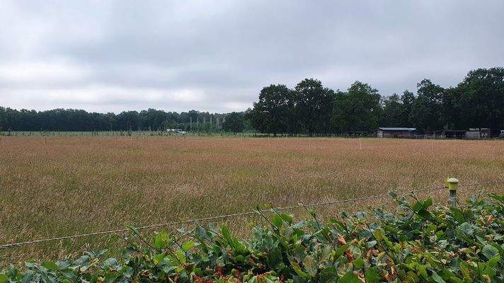 Ausblick Richtung Stadtpark