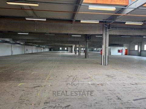 Bad Oldesloe Halle, Bad Oldesloe Hallenfläche