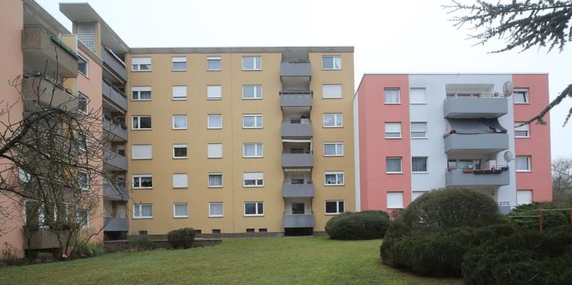 Hinteransicht 2