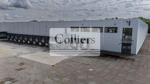 Ahrensfelde Halle, Ahrensfelde Hallenfläche