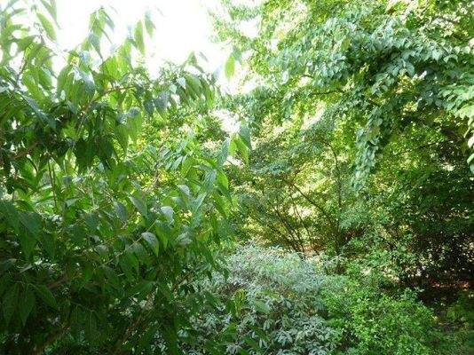 Blick aus den Fenstern