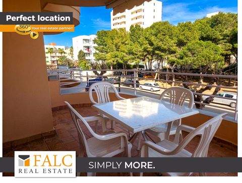 Cala Millor Wohnungen, Cala Millor Wohnung mieten