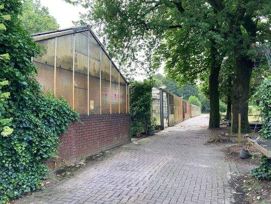 Gewächshäuser Zuwegung