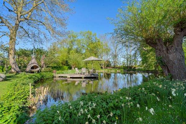 naturbelassener Schwimmteich 