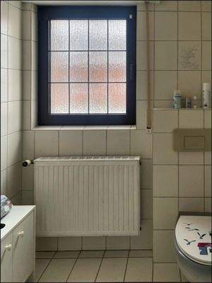 Badezimmer mit Dusche im Erdgeschoss und Tageslicht