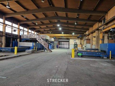 Bruchsal Halle, Bruchsal Hallenfläche