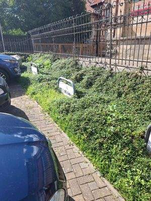 Stellplätze auf dem Hof.jpg