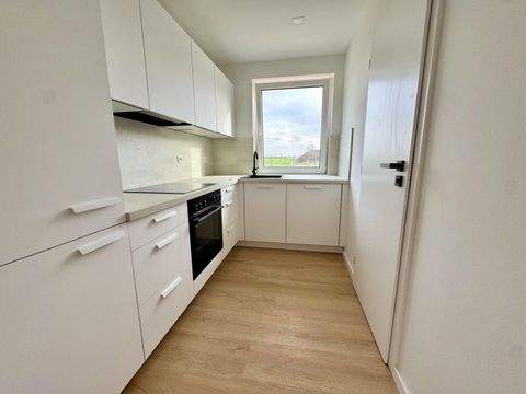 Hohenau Häuser, Hohenau Haus mieten 