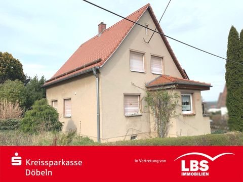 Leisnig Häuser, Leisnig Haus kaufen