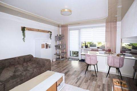 Vellmar Wohnungen, Vellmar Wohnung kaufen