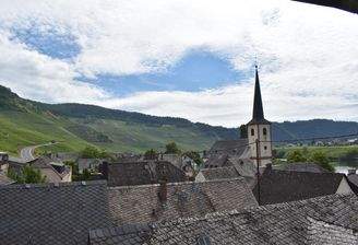Blick auf die Weinberge