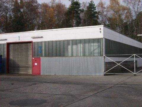 Röthenbach Halle, Röthenbach Hallenfläche