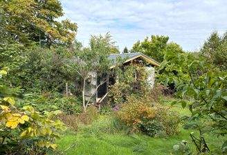 Garten.