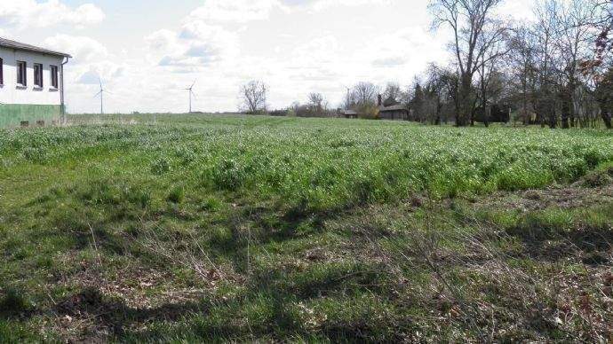 Freifläche vor dem Gebäude