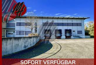 INFOS UNTER: 06171-586000