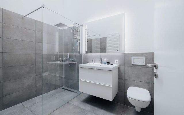 Tageslicht-Duschbad mit Dachluke