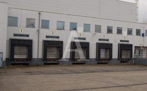 Bergheim Halle, Bergheim Hallenfläche