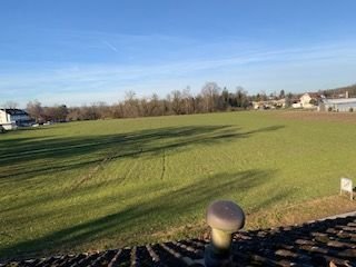 Ausblick DG zum Naturschutzgebiet Eriskircher Ried