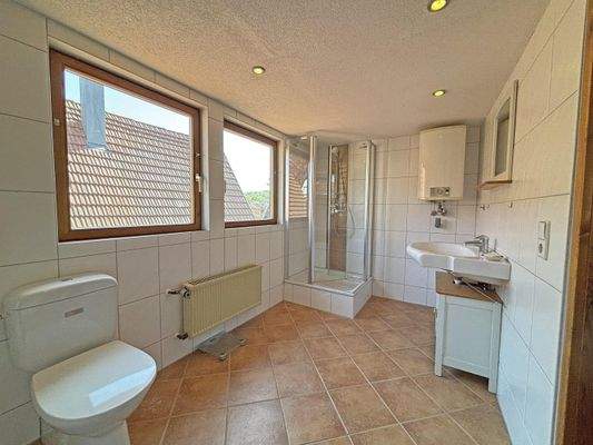 großes Tageslichtbad im 2. OG