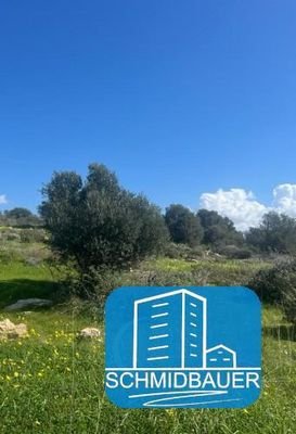 Kreta, Afrathias: Grundstück mit herrlichem Meerblick zu verkaufen