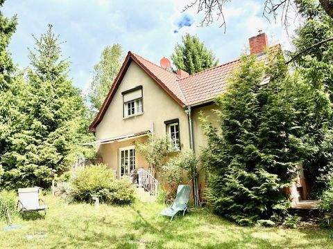Bad Saarow Häuser, Bad Saarow Haus kaufen