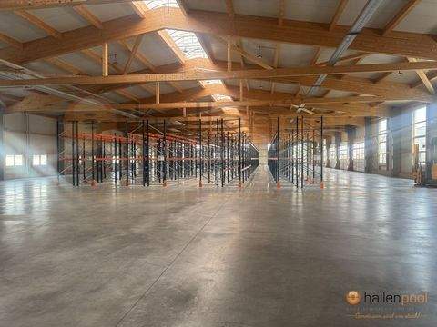 Roding Halle, Roding Hallenfläche