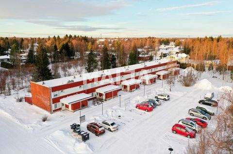 Tornio Häuser, Tornio Haus kaufen